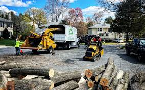 Best Tree Preservation Services  in Magnolia, NC